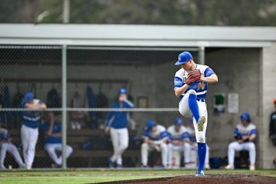 Baseball action shot — Homestead vs. Northrop, Fort Wayne Indiana