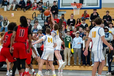 Boys Basketball action shot — Homestead vs. Luers, Fort Wayne Indiana