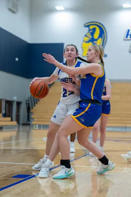 Girls Basketball action shot — Homestead vs. Carmel, Fort Wayne Indiana
