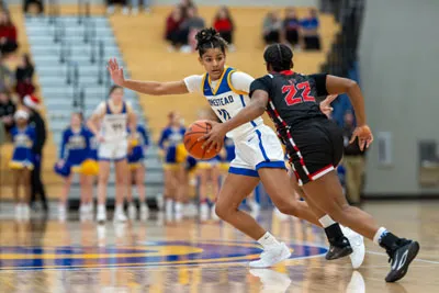 Girls Basketball action shot — Homestead vs. Luers, Fort Wayne Indiana