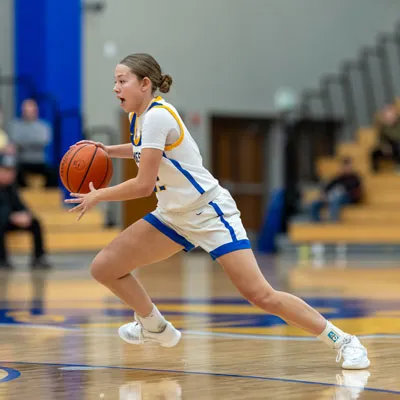 Girls Basketball action shot — Homestead vs. Luers, Fort Wayne Indiana