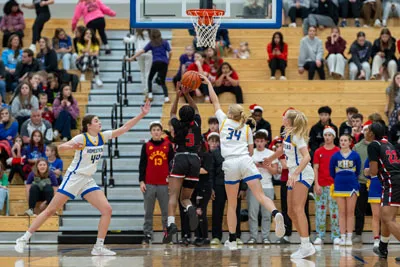 Girls Basketball action shot — Homestead vs. Luers, Fort Wayne Indiana