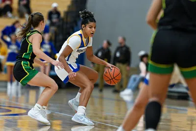Girls Basketball action shot — Homestead vs. Northridge, Fort Wayne Indiana