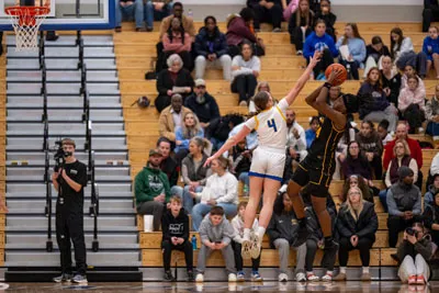 Girls Basketball action shot — Homestead vs. Snider, Fort Wayne Indiana