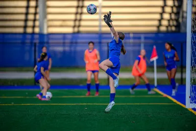 Homestead | Carroll - photo 1