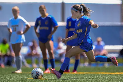 Girls Soccer action shot — Homestead vs. Mount Vernon, Fort Wayne Indiana