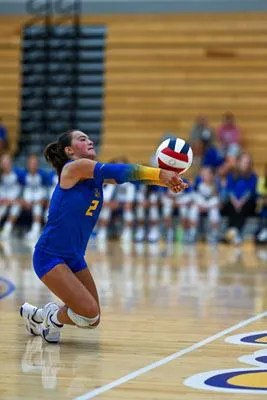 Girls Volleyball action shot — Homestead vs. Blackhawk, Fort Wayne Indiana