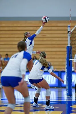 Girls Volleyball action shot — Homestead vs. Blackhawk, Fort Wayne Indiana