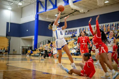 Girls Basketball action shot — Homestead vs. Wayne, Fort Wayne Indiana